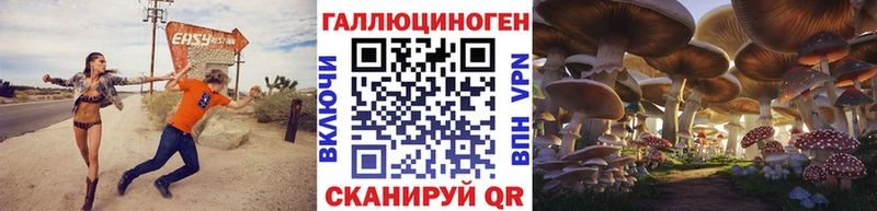 Псилоцибиновые грибы Psilocybe  Жиздра 